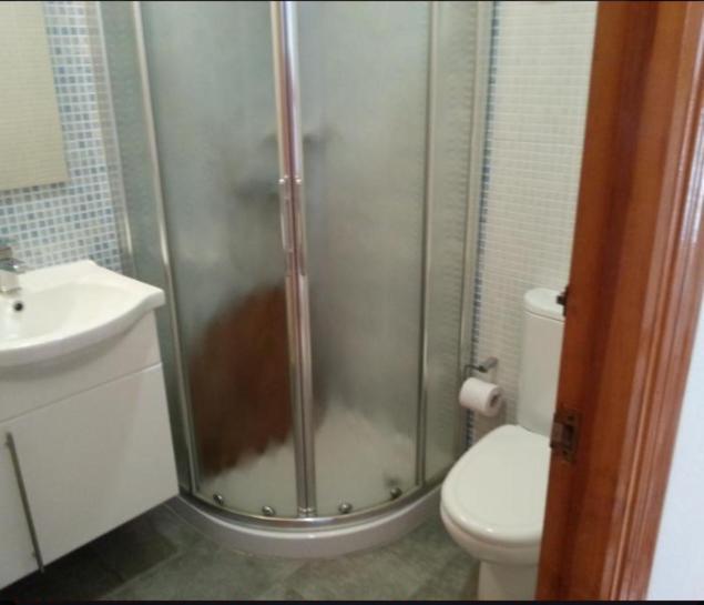 Apartamento En La Playa De San Jose-Sjjc Стая снимка